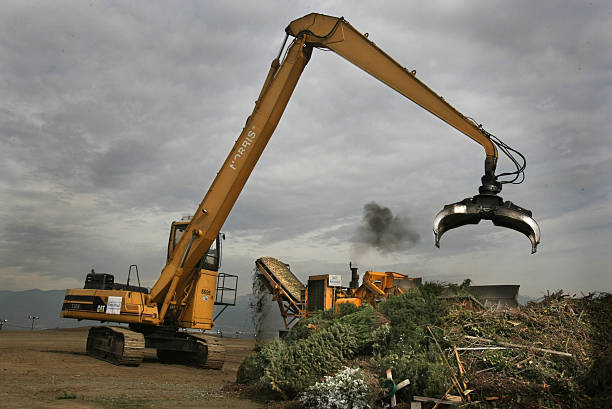 élagagueuse élagueuse attrapant un arbre